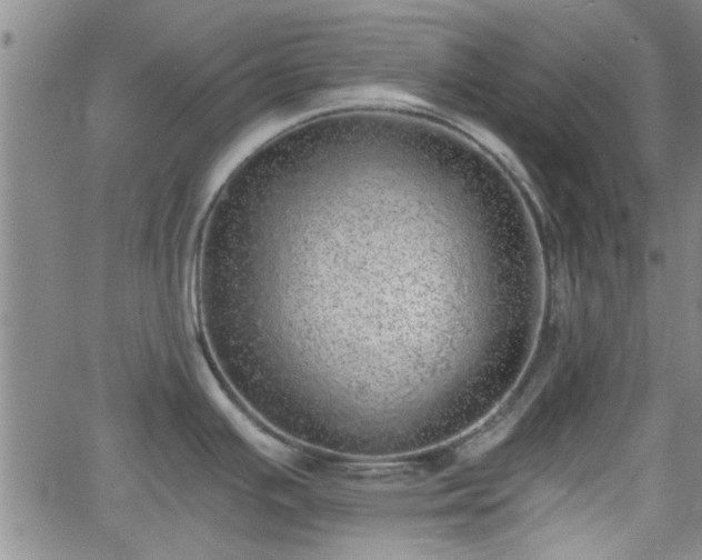 X0000058781391200510031009