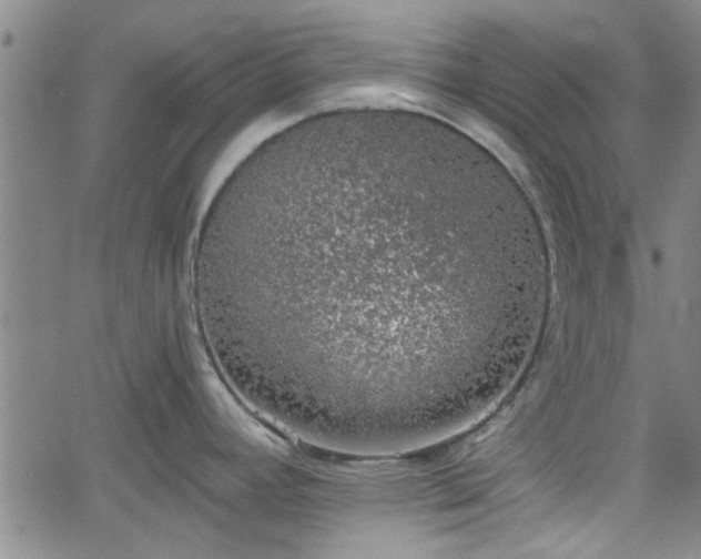 X0000058781392200510031009