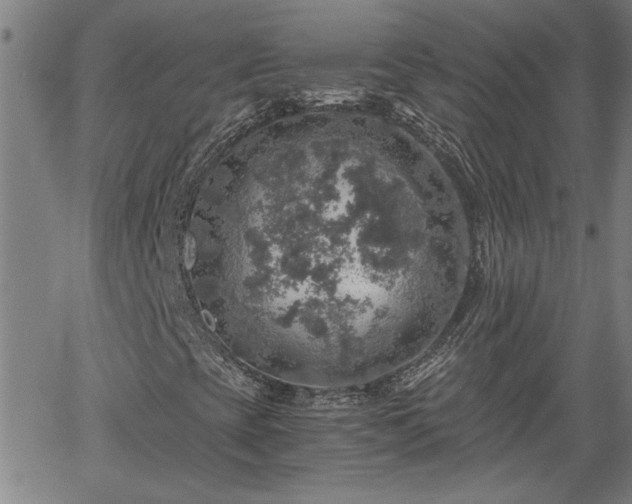 X0000058781393200510031008