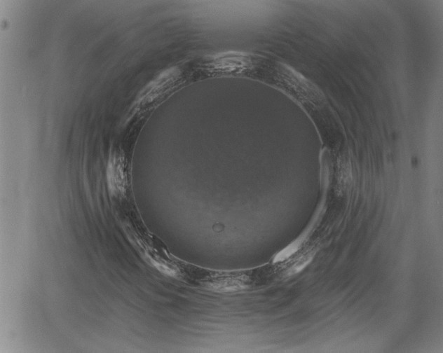 X0000058781394200510031008