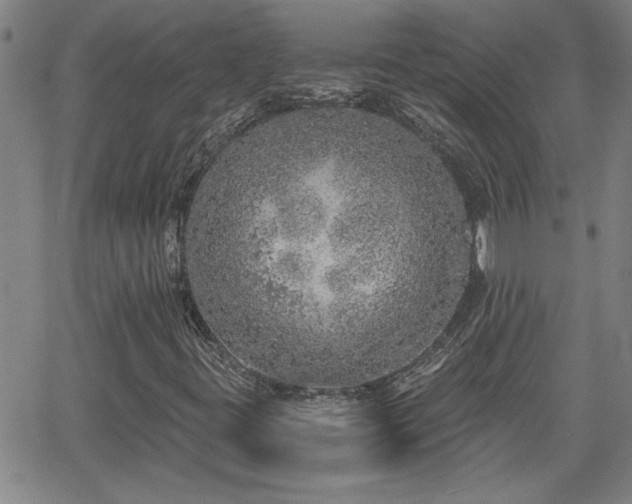 X0000058781395200510031008