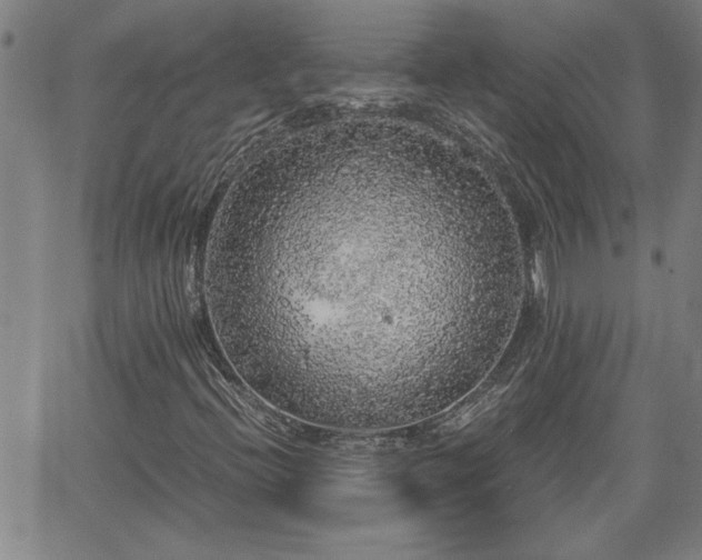 X0000058781396200510031008