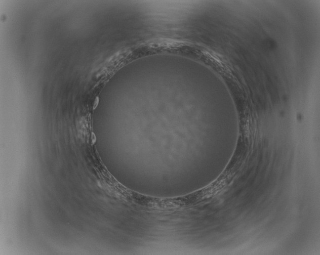 X0000058781397200510031008