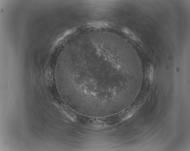 X0000058781398200510031008