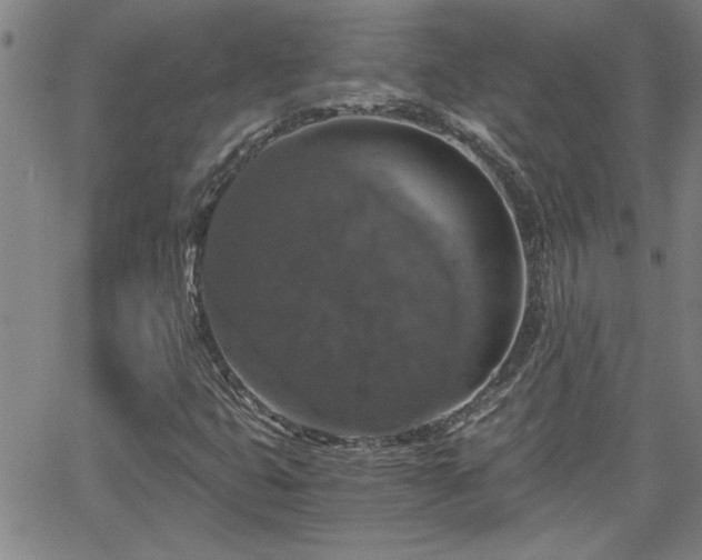 X0000058781399200510031008