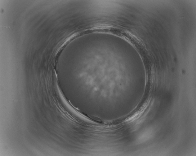 X0000058781401200510031008