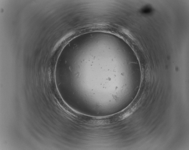 X0000058781402200510031008