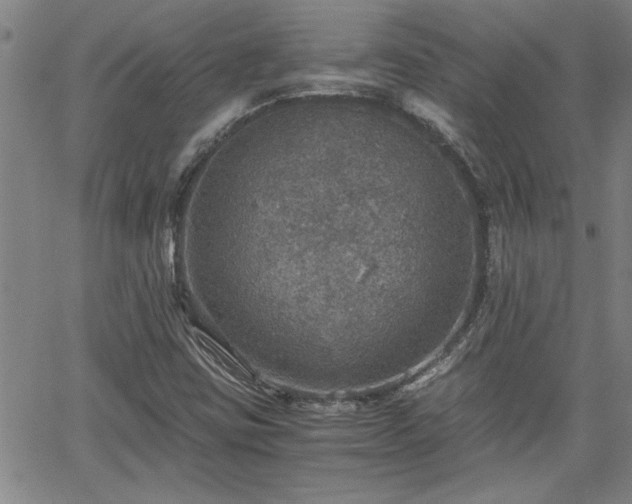 X0000058781403200510031008