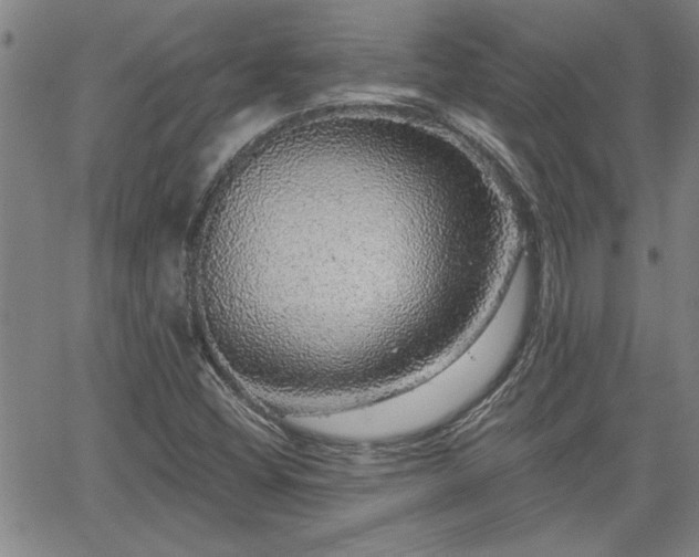 X0000058781404200510031008