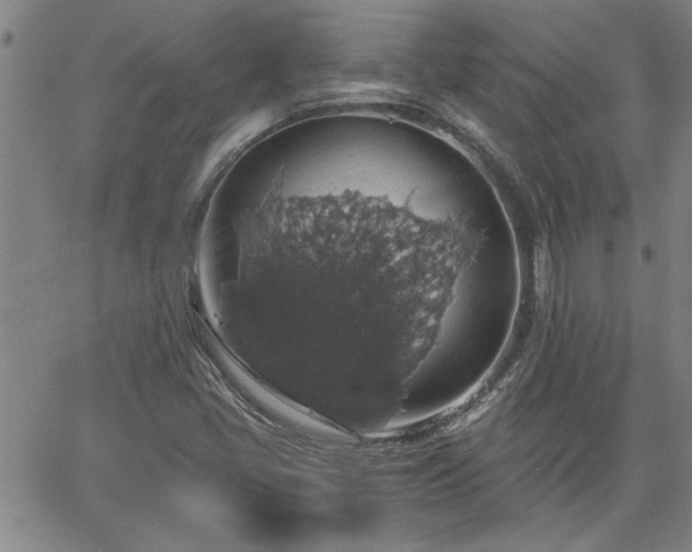 X0000058781405200510031008