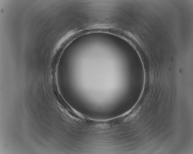 X0000058781406200510031008