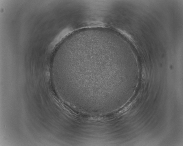 X0000058781407200510031008