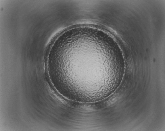 X0000058781408200510031008