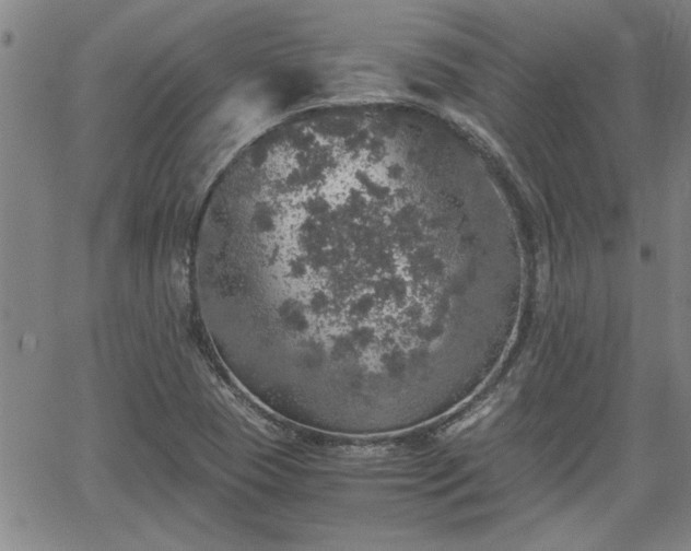 X0000058781409200510031008