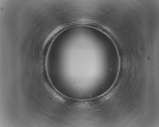 X0000058781410200510031008