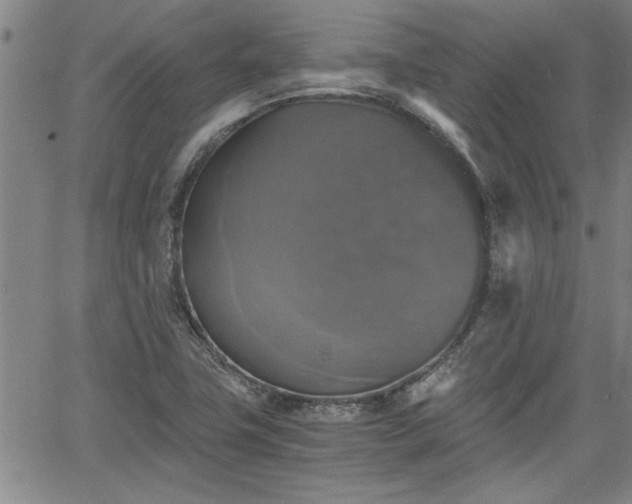 X0000058781411200510031008