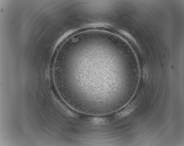 X0000058781412200510031008