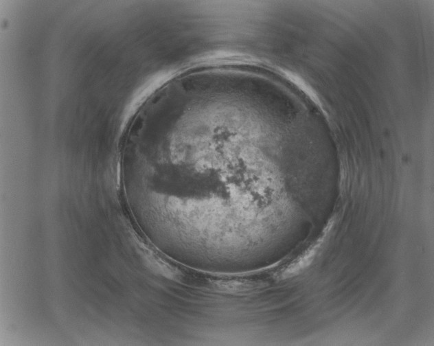 X0000058781413200510031008