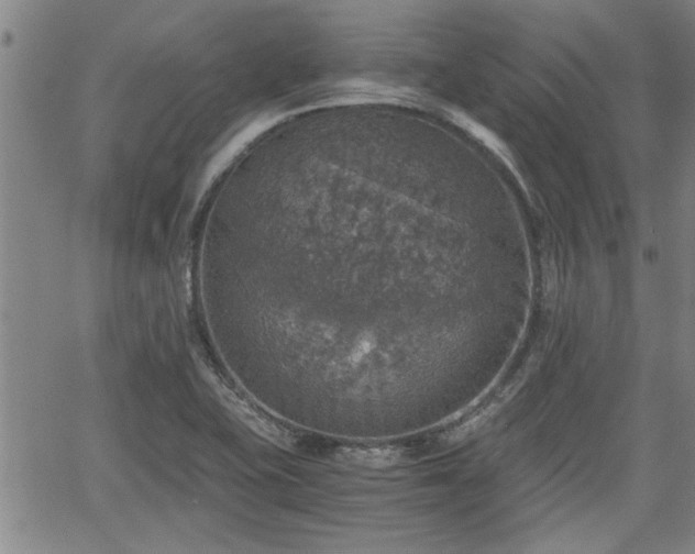 X0000058781415200510031008