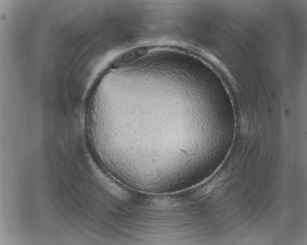 X0000058781416200510031008