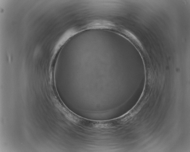 X0000058781419200510031008