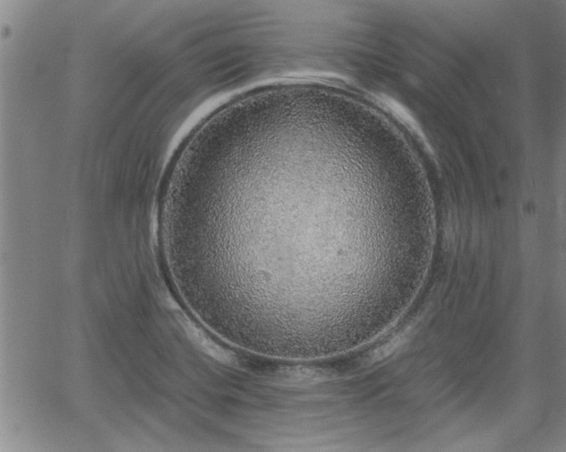 X0000058781420200510031008