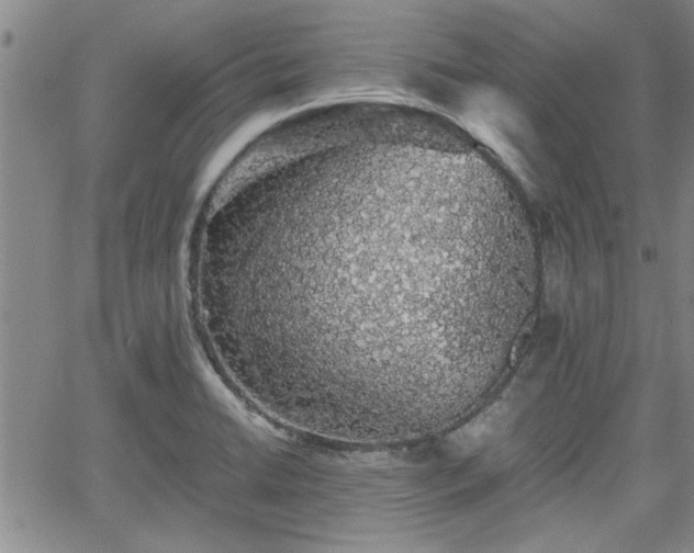 X0000058781422200510031008