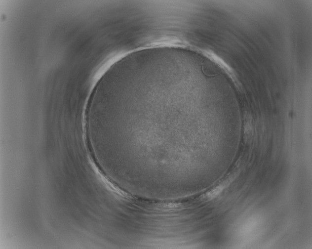 X0000058781423200510031008