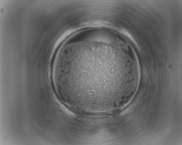 X0000058781424200510031008