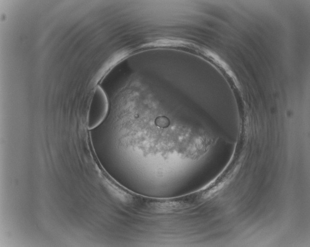 X0000058781425200510031008