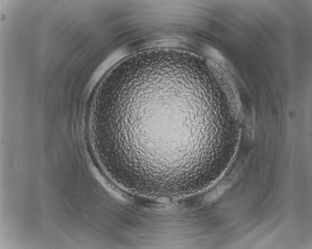 X0000058781426200510031008