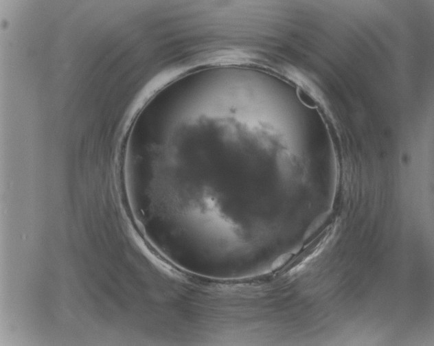 X0000058781429200510031008