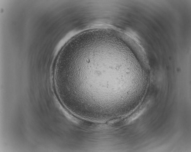 X0000058781430200510031008