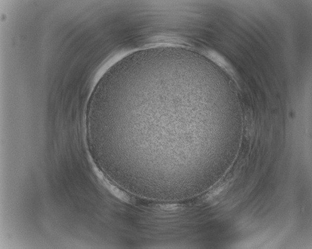 X0000058781431200510031008