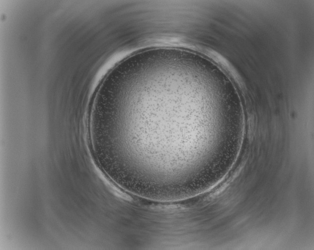 X0000058781432200510031008