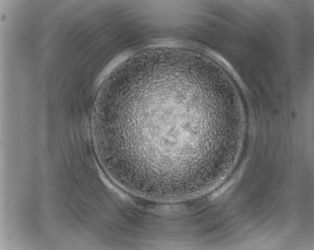 X0000058781433200510031008