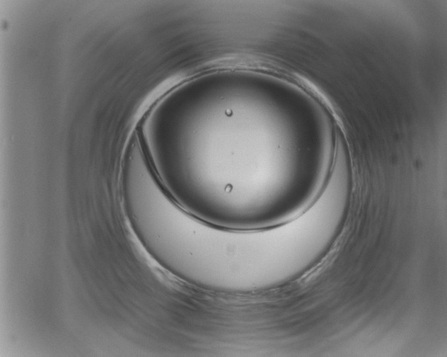 X0000058781434200510031009