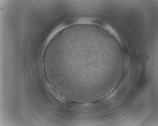 X0000058781435200510031009