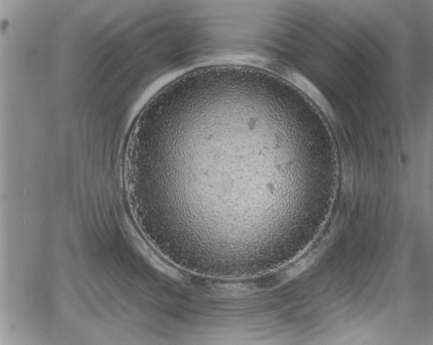 X0000058781436200510031009