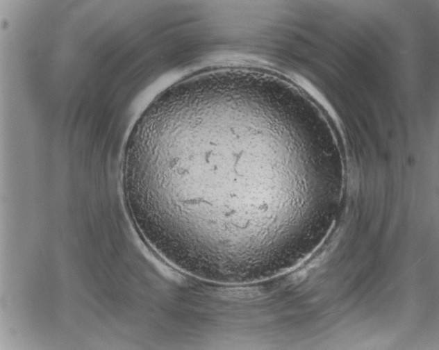 X0000058781437200510031009