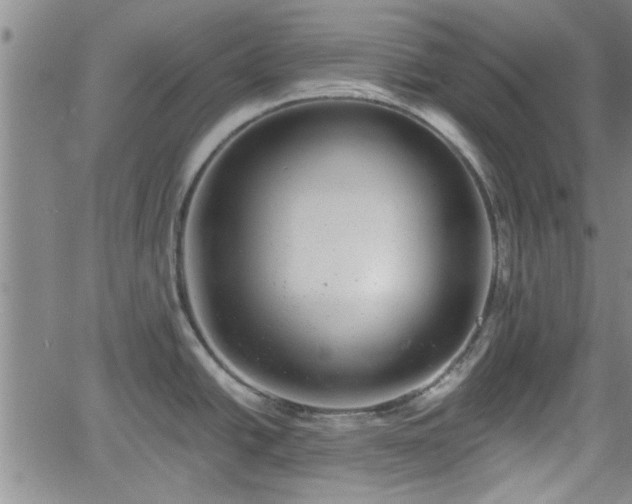 X0000058781438200510031009