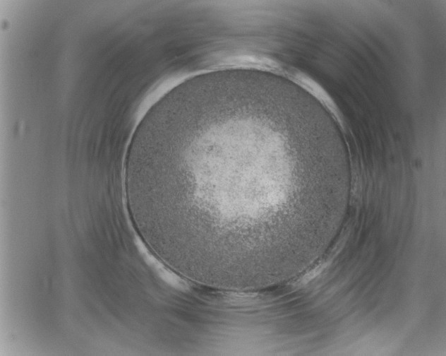 X0000058781439200510031009