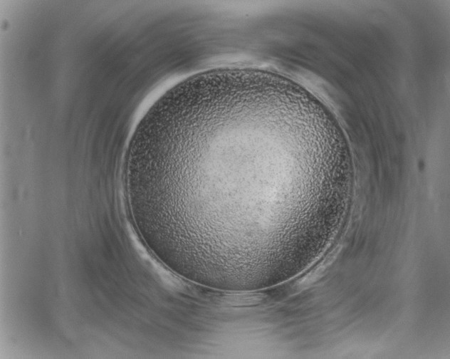 X0000058781440200510031009