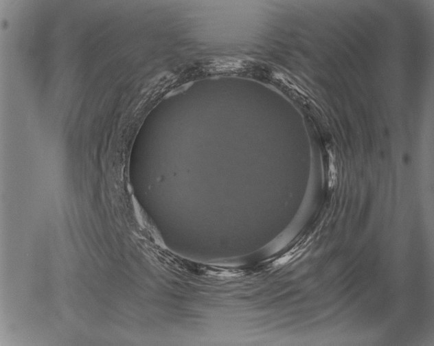 X0000058781441200510031008