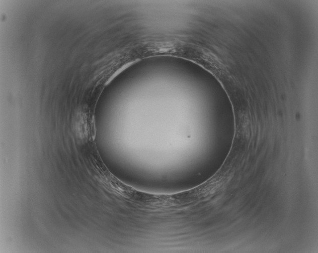 X0000058781442200510031008