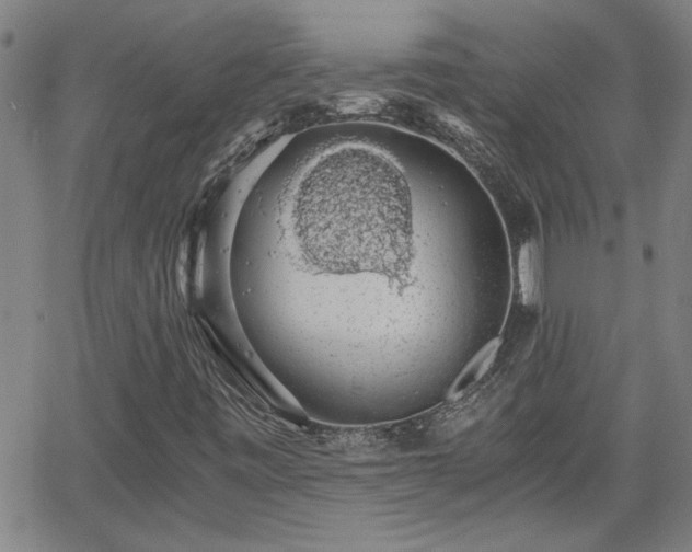 X0000058781443200510031008