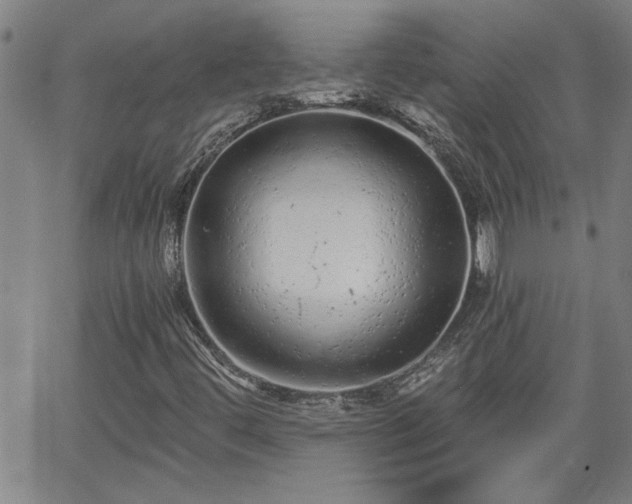 X0000058781444200510031008