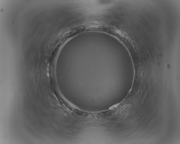 X0000058781445200510031008