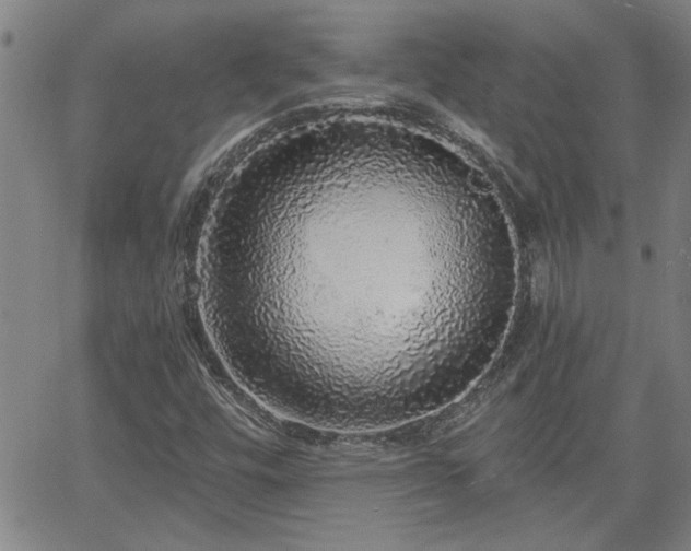 X0000058781448200510031008