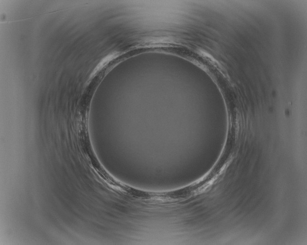 X0000058781449200510031008